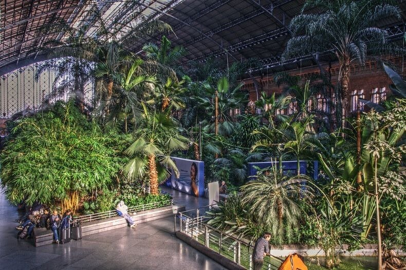 Ботанический сад на железнодорожном вокзале Аточа в Мадриде