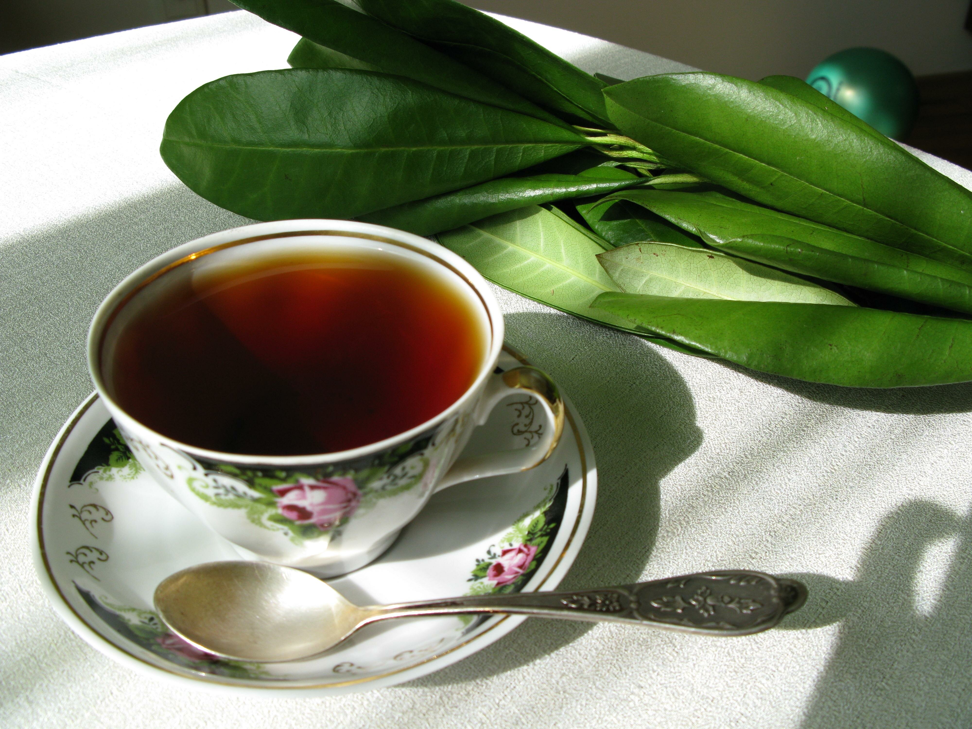 Зеленый чай вечером. Красивый чай. Красивая подача чая. Зеленый чай. Чай фото.