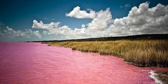 Австралия, Розовое озеро