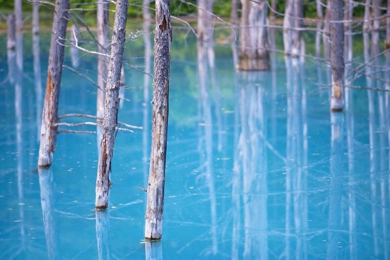 Синий пруд на острове Хоккайдо в Японии
