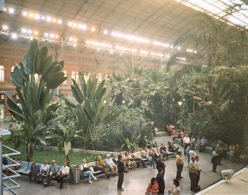 Ботанический сад на железнодорожном вокзале Аточа в Мадриде