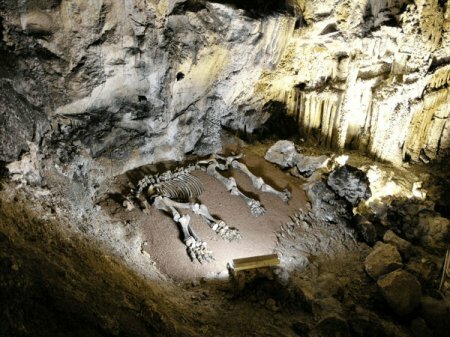 Пещера скелетов